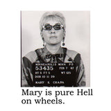Big House Cell (Air) Fresheners, Mary is pure hell on wheels.