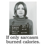 Big House Cell (Air) Fresheners, If only sarcasm burned calories.