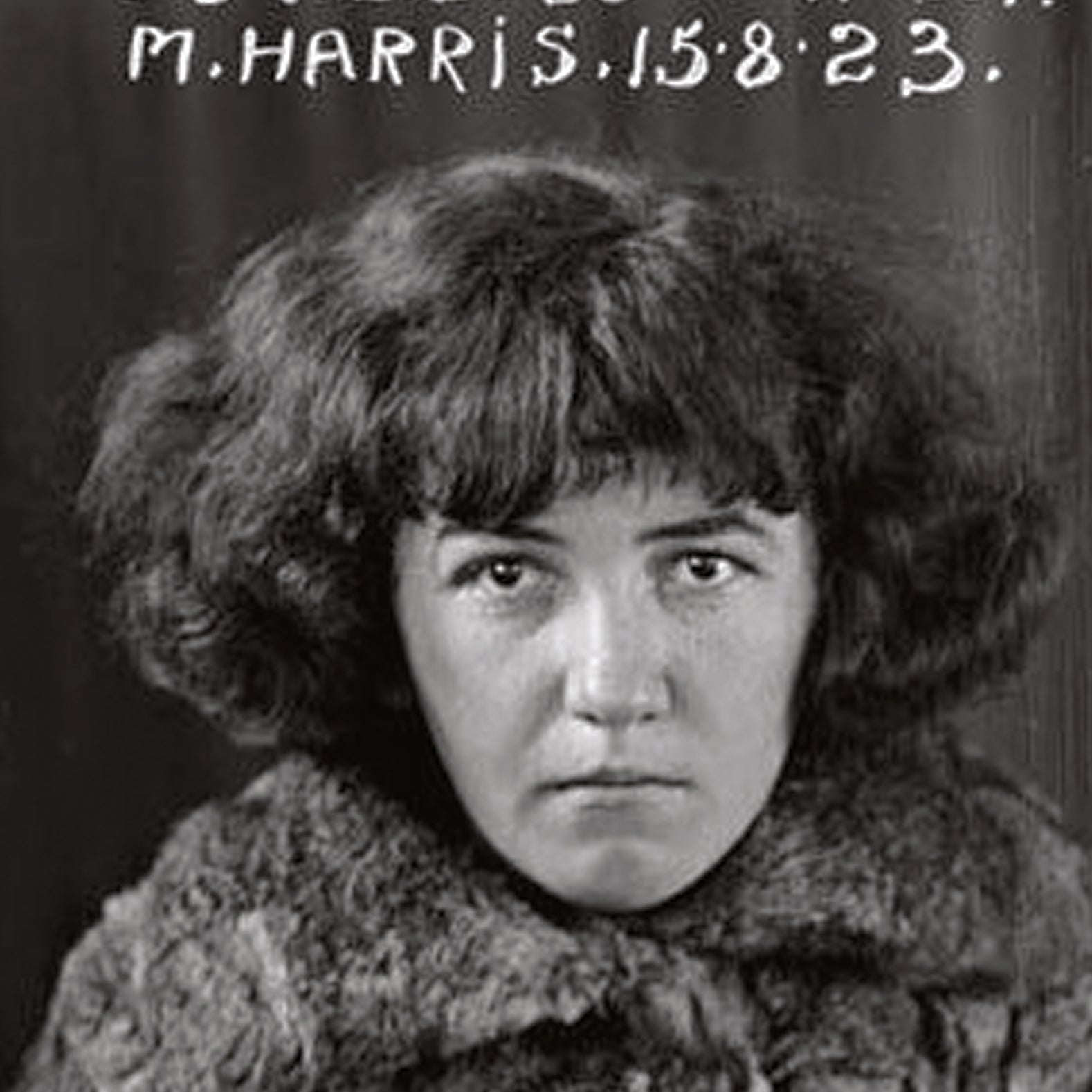 Slide image