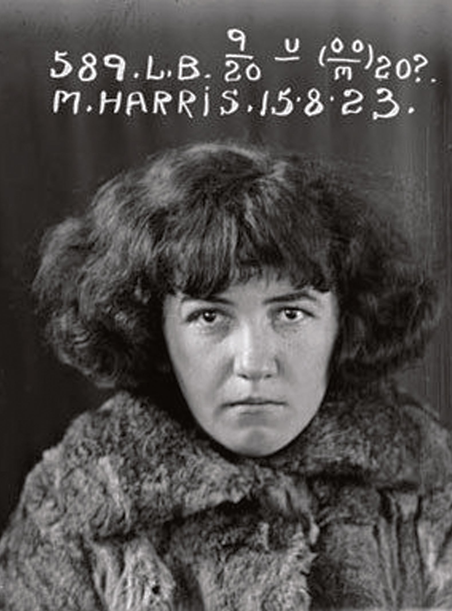 Slide image