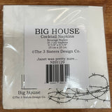 Big House Napkins, Janet was pretty sure she had a good time last night, but she needs to finish reading the police report.
