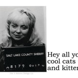 Big House Sticker, Hey all you cool cats and kittens